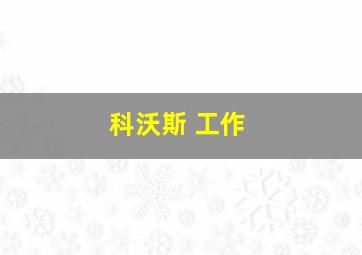 科沃斯 工作